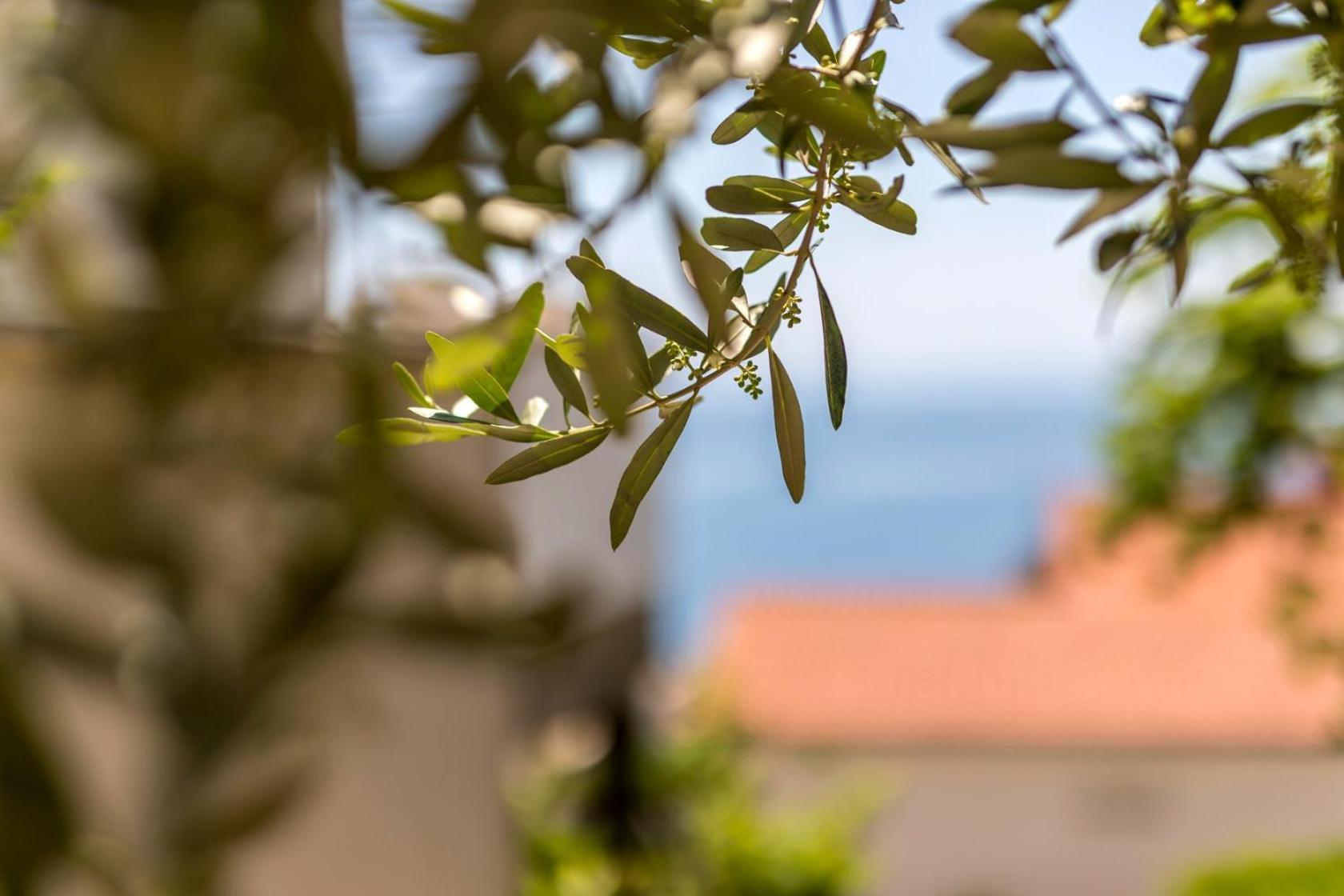 Apartments With A Parking Space Baska Voda, Makarska - 301 Zewnętrze zdjęcie